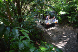 Barbados Tour Barbados Tour