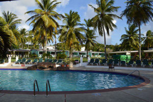 Barbados Tour Bardados Tour with swimming pool and trees