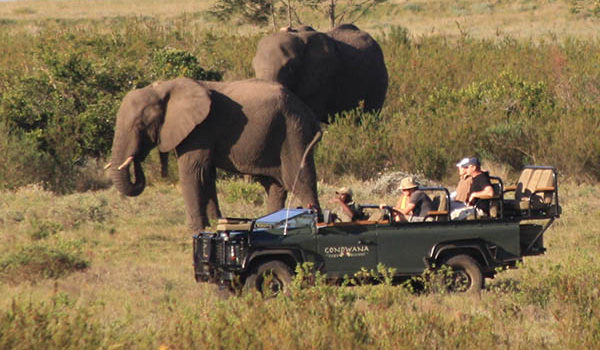 Tours to South Africa Tours to South Africa