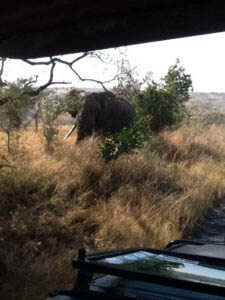 Tours to South Africa Tours to South Africa