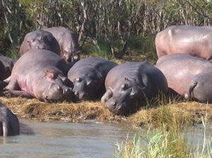 Tours to South Africa Tours to South Africa