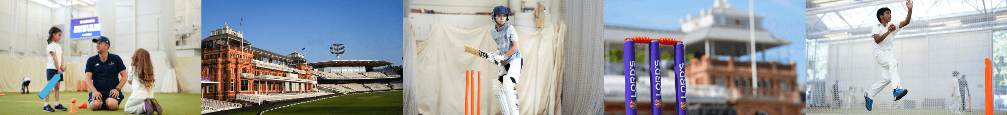 MCC - web images (small banner)